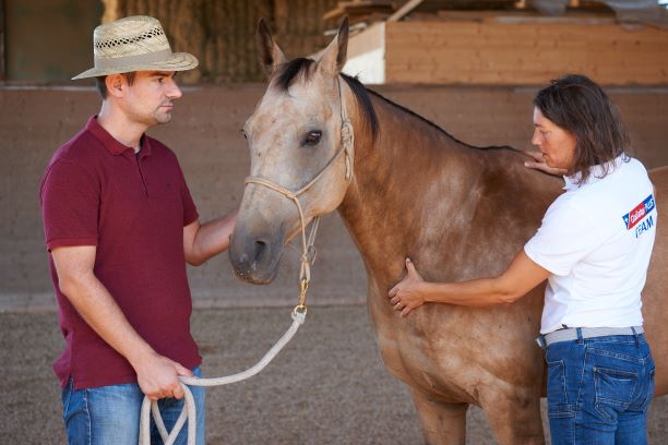 Für Dich Fütterung4