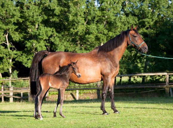 für dich Fütterung3